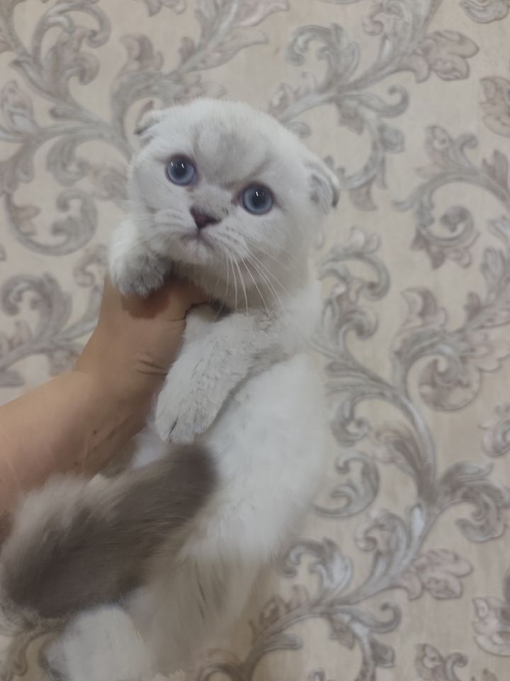 160 USD