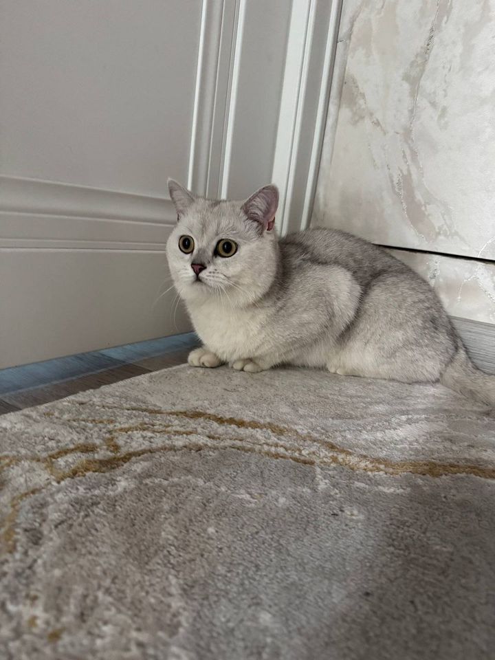 70 USD