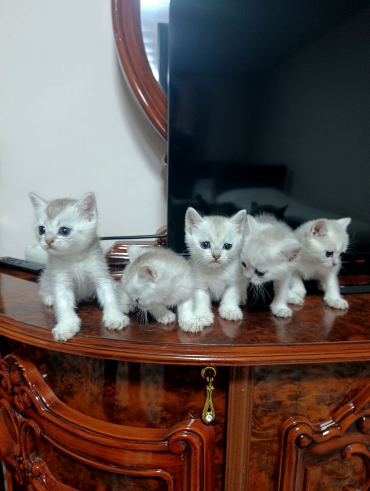 1 000 000 сум