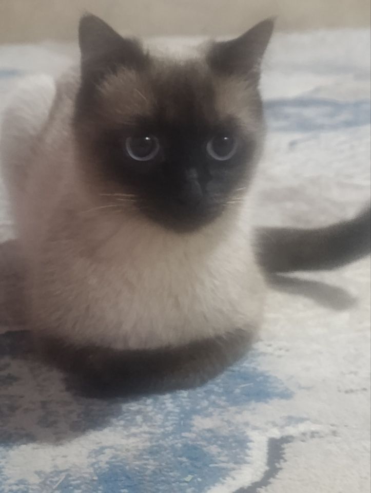 400 000 UZS