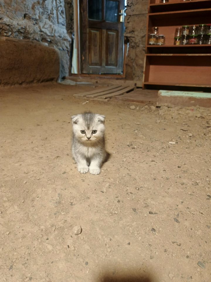 70 USD