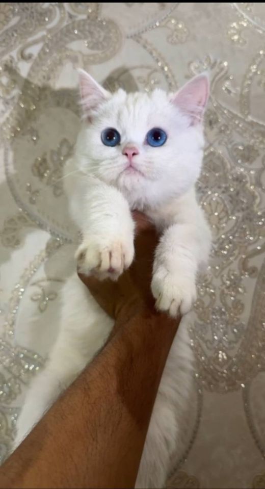 350 USD