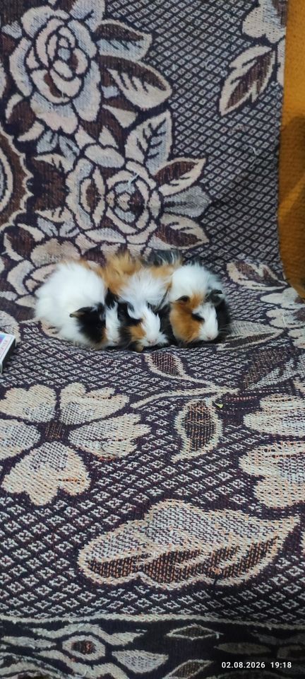 150 000 сум