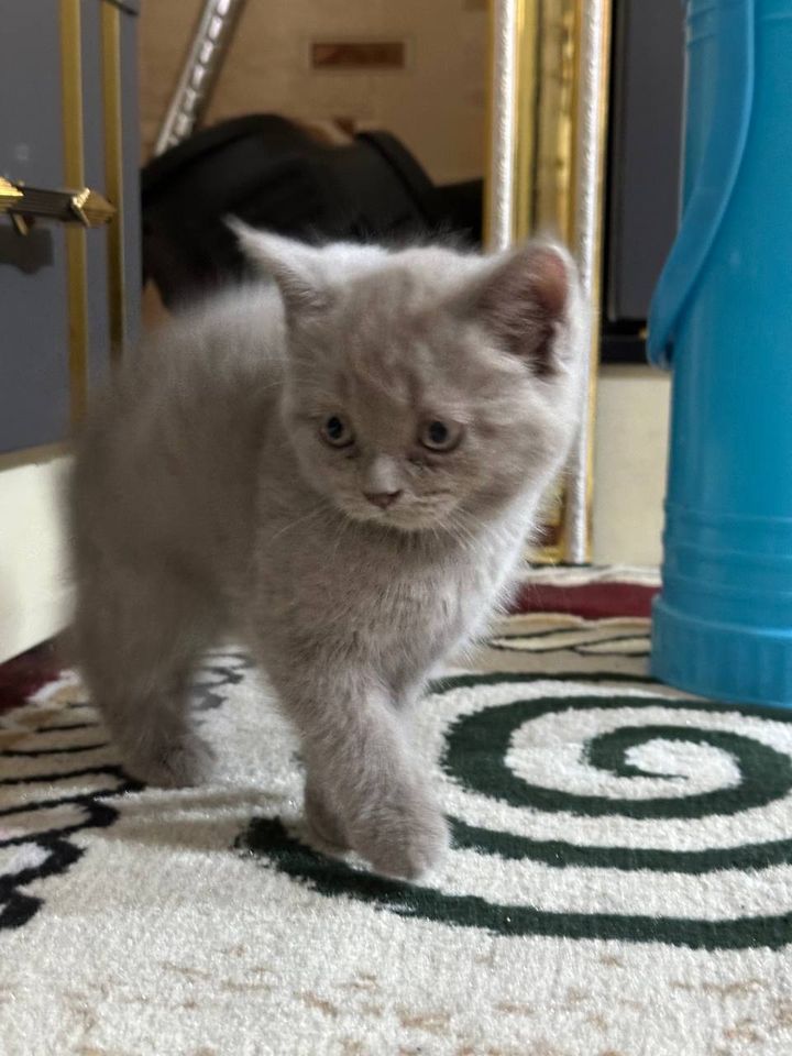 350 000 сум