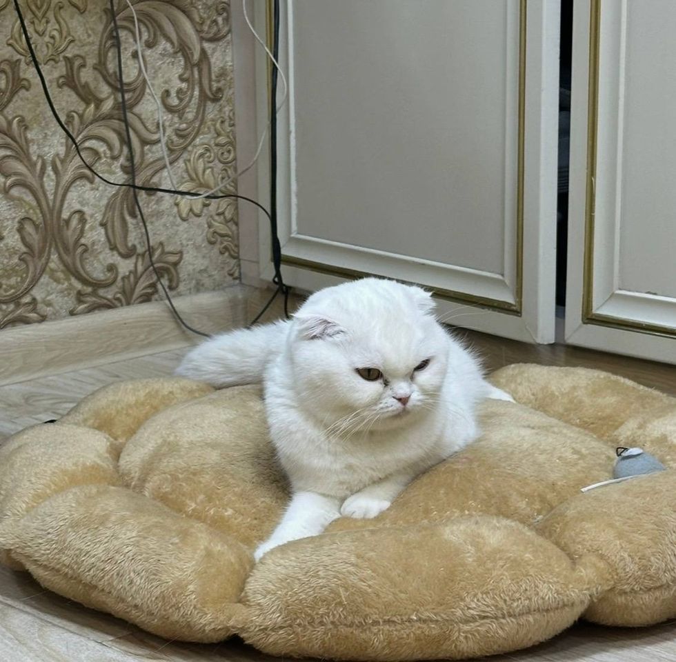 350 USD