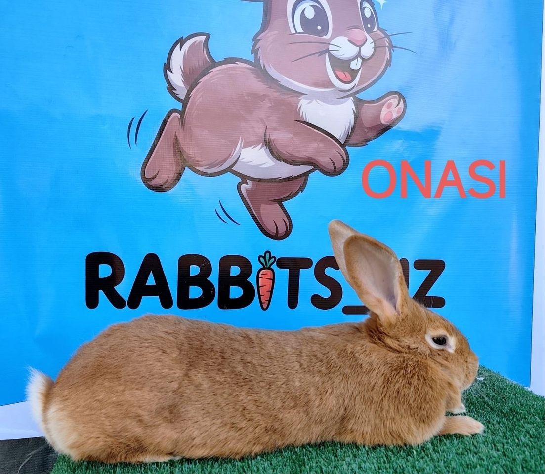 300 000 сум