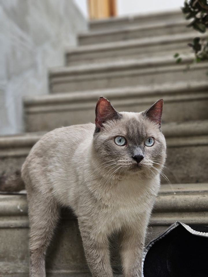 600 000 сум