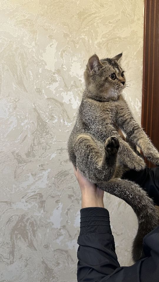 500 000 сум