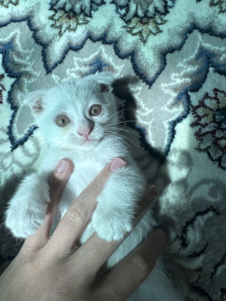 1 000 000 сум
