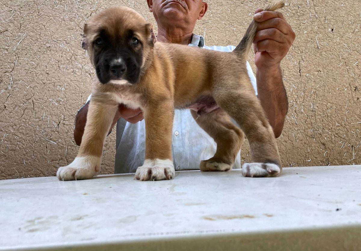 120 USD
