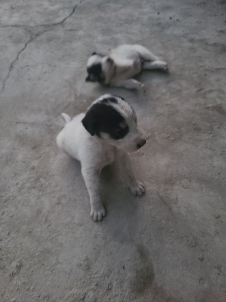 1 000 000 UZS