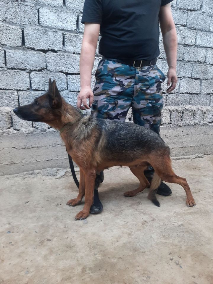 200 USD