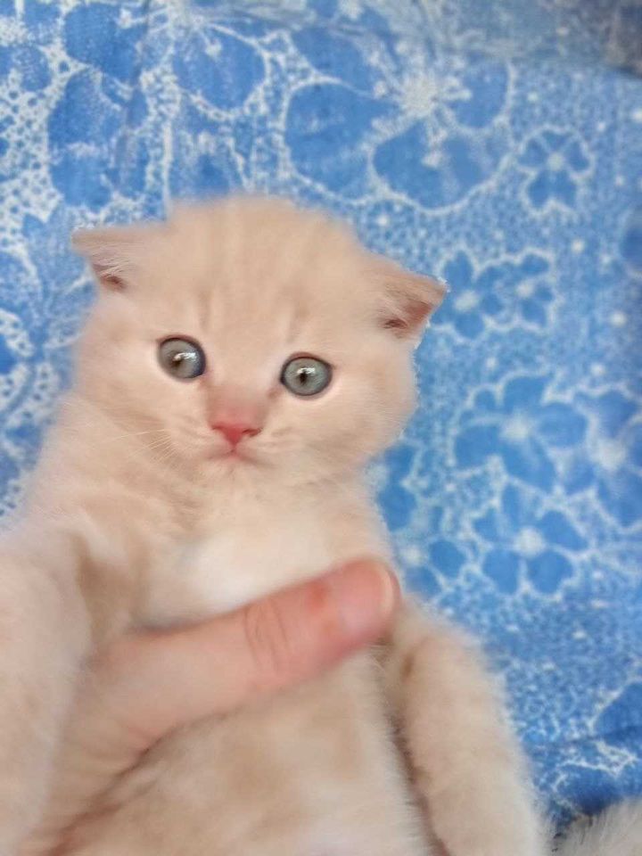 20 USD