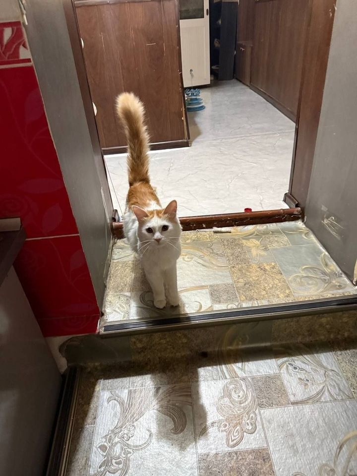 300 000 сум