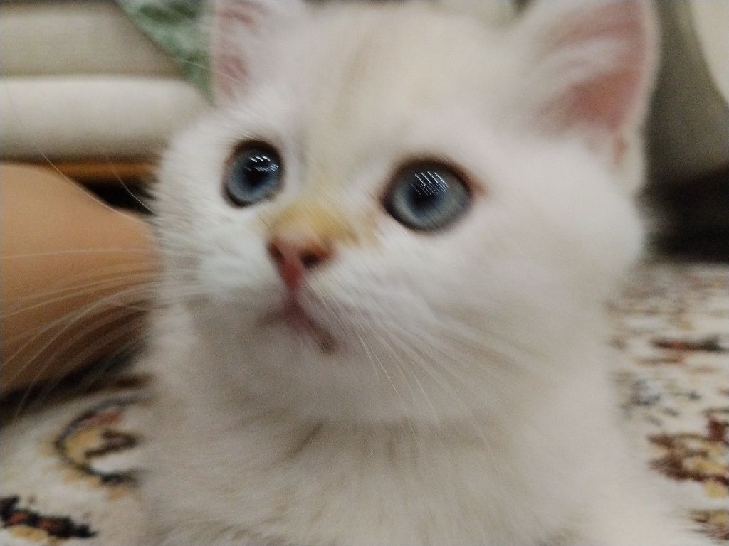 120 USD