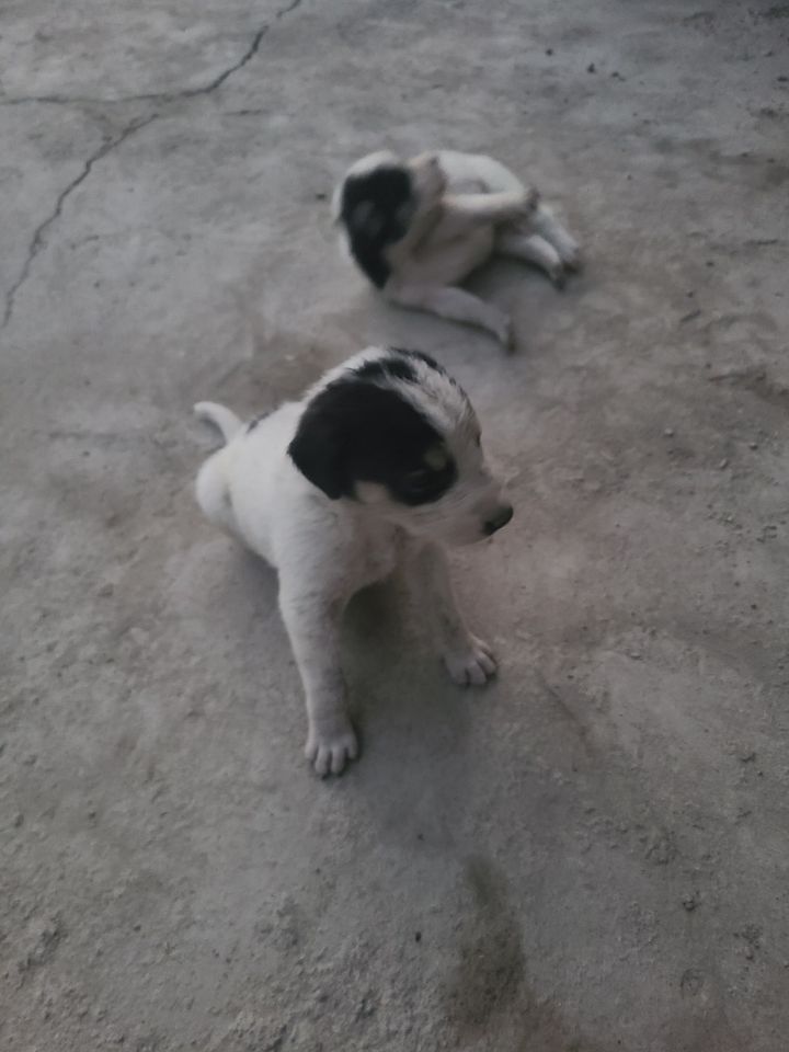 1 000 000 UZS