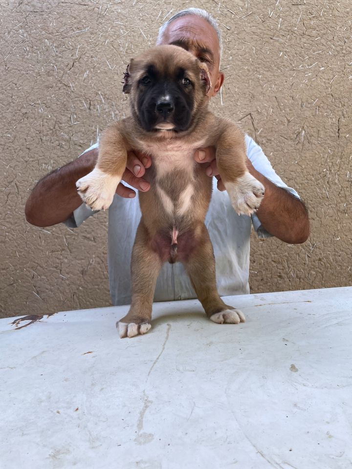 120 USD