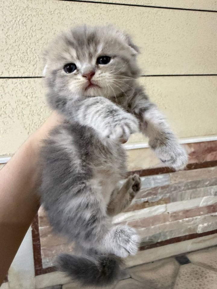 120 USD