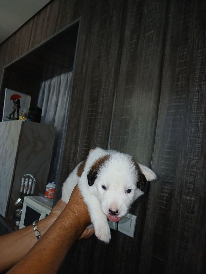 300 000 UZS