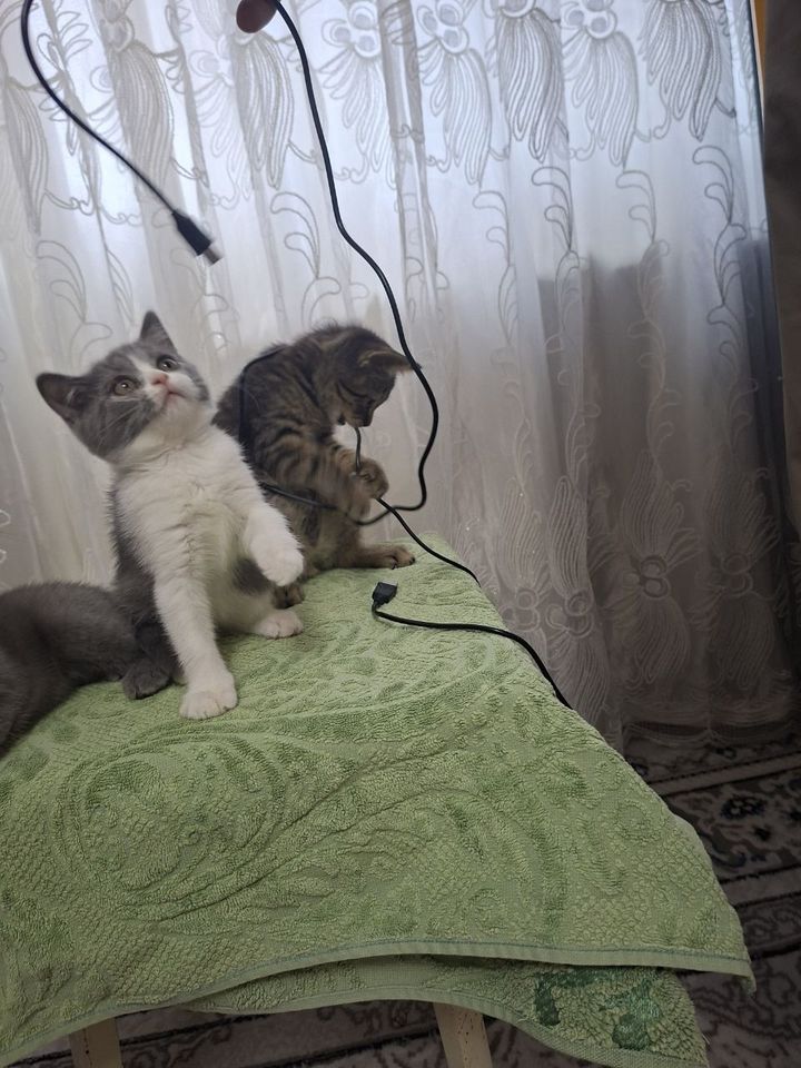 1 000 000 сум