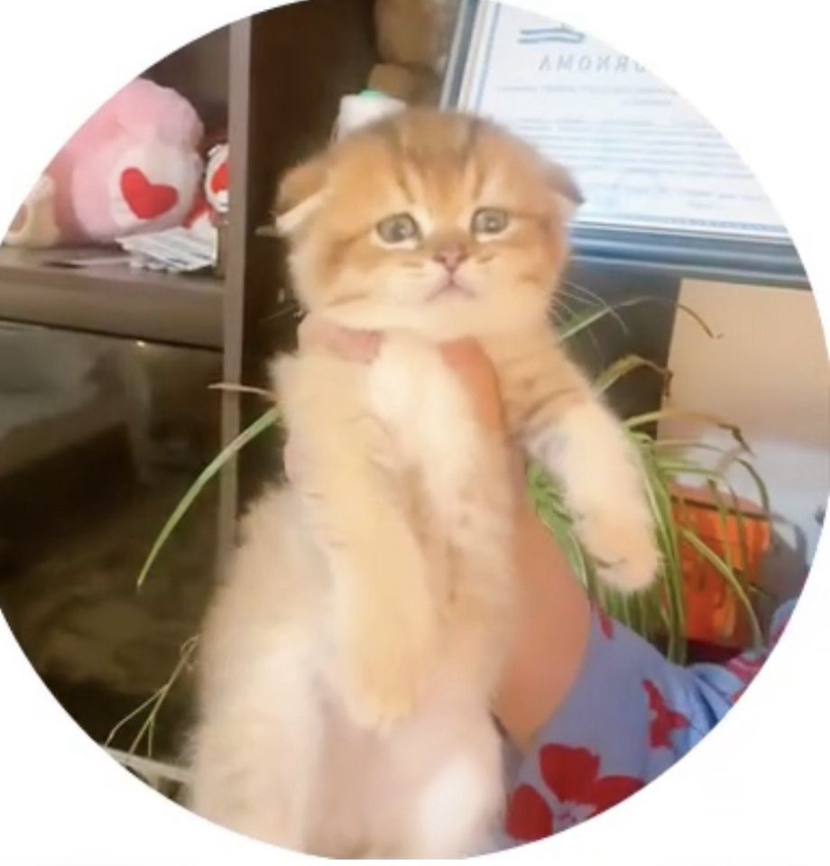200 USD