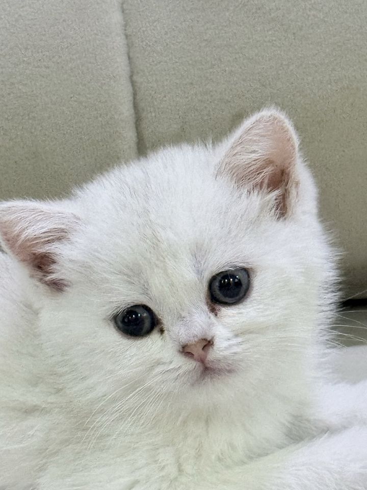 150 USD