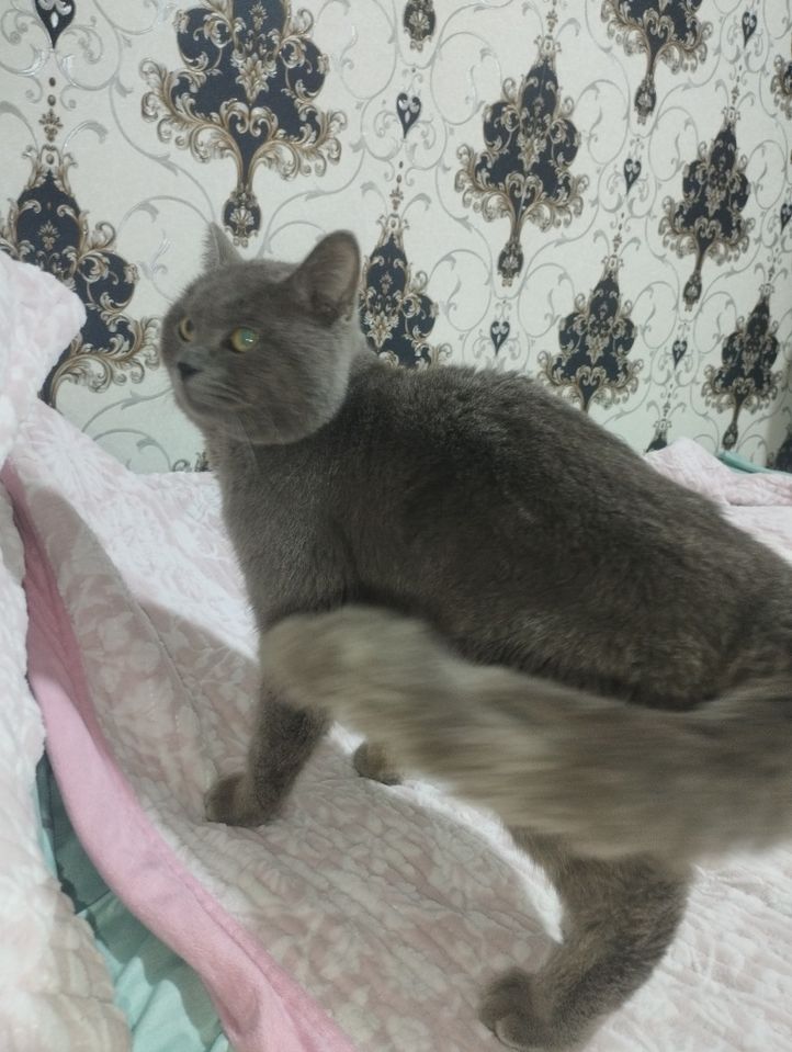 1 000 000 сум