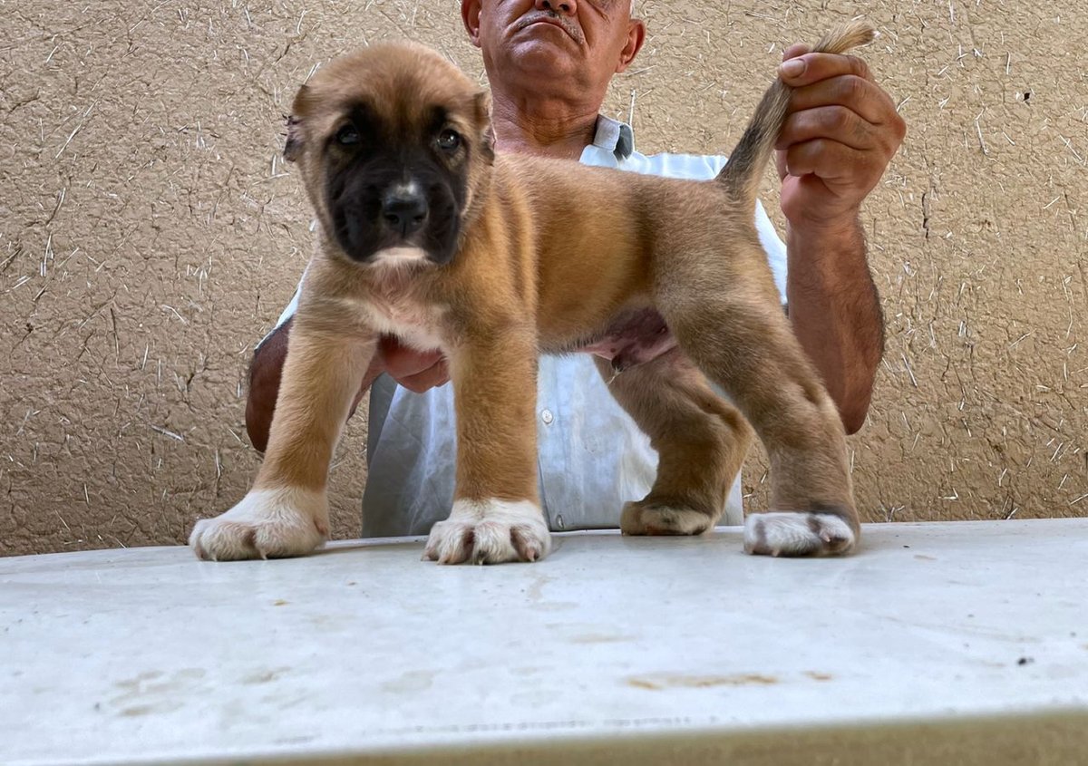 120 USD