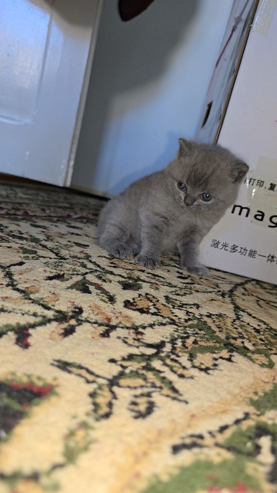 750 000 сум