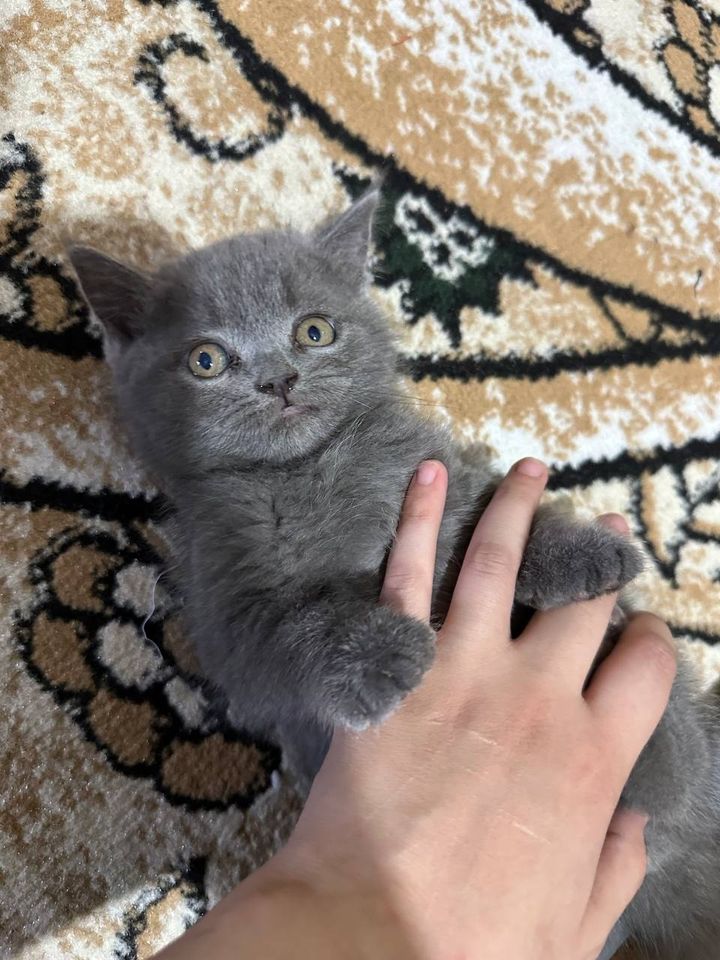 350 000 сум