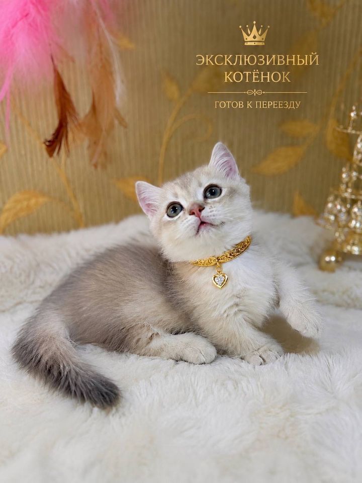500 USD