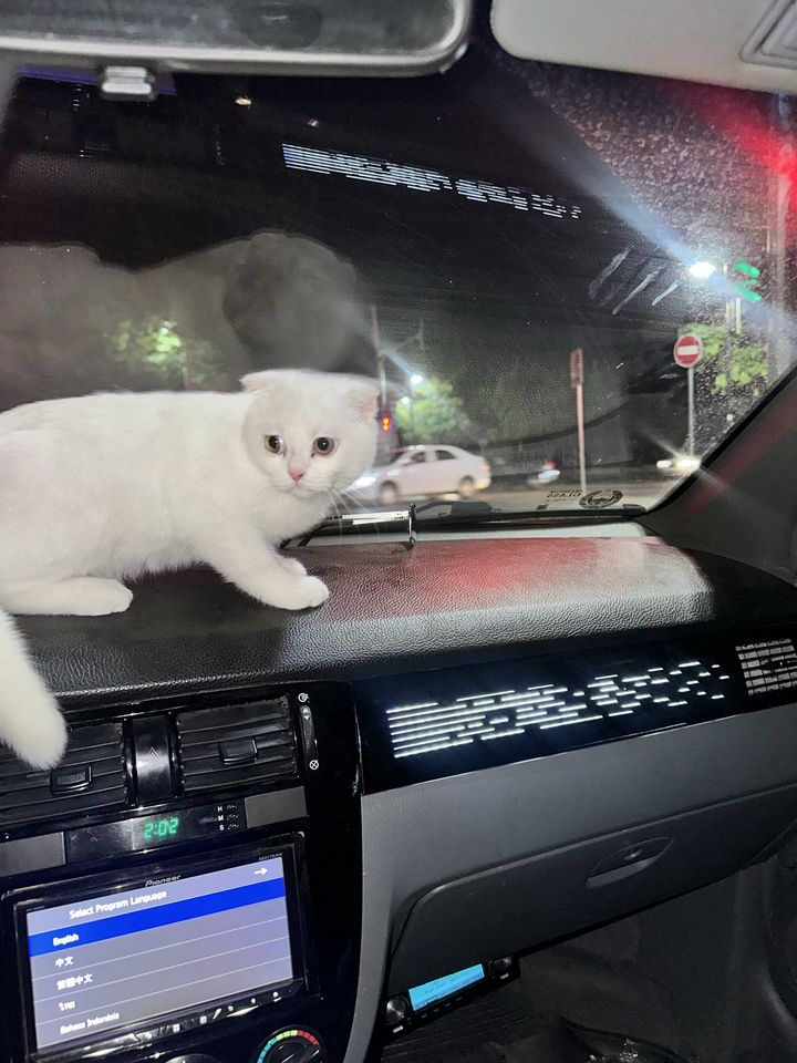 250 000 сум
