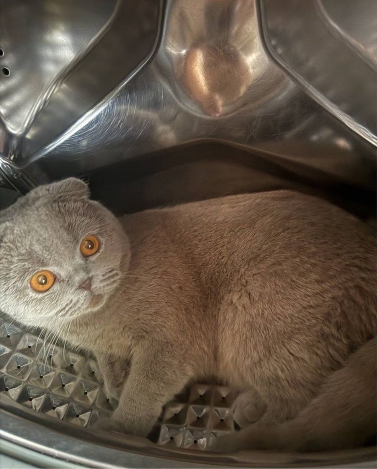 650 000 сум