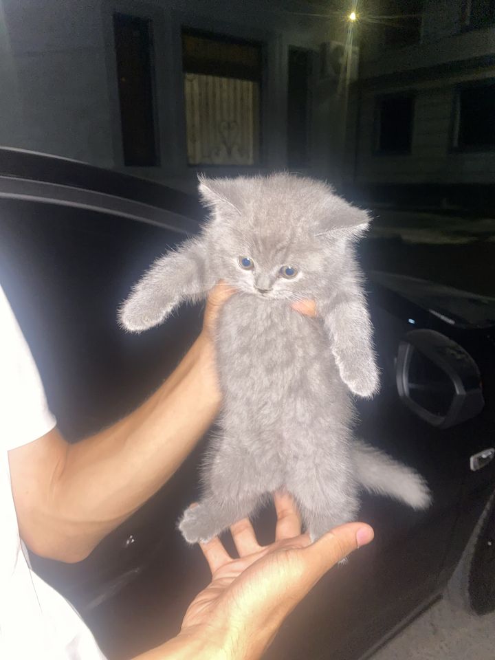 100 USD