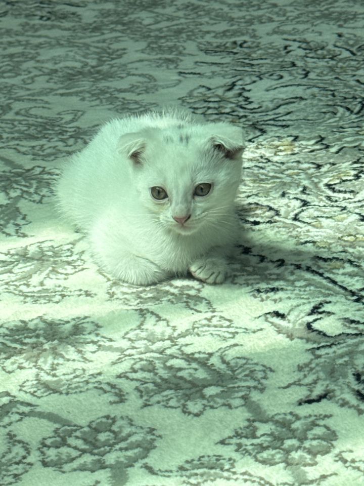 1 000 000 сум