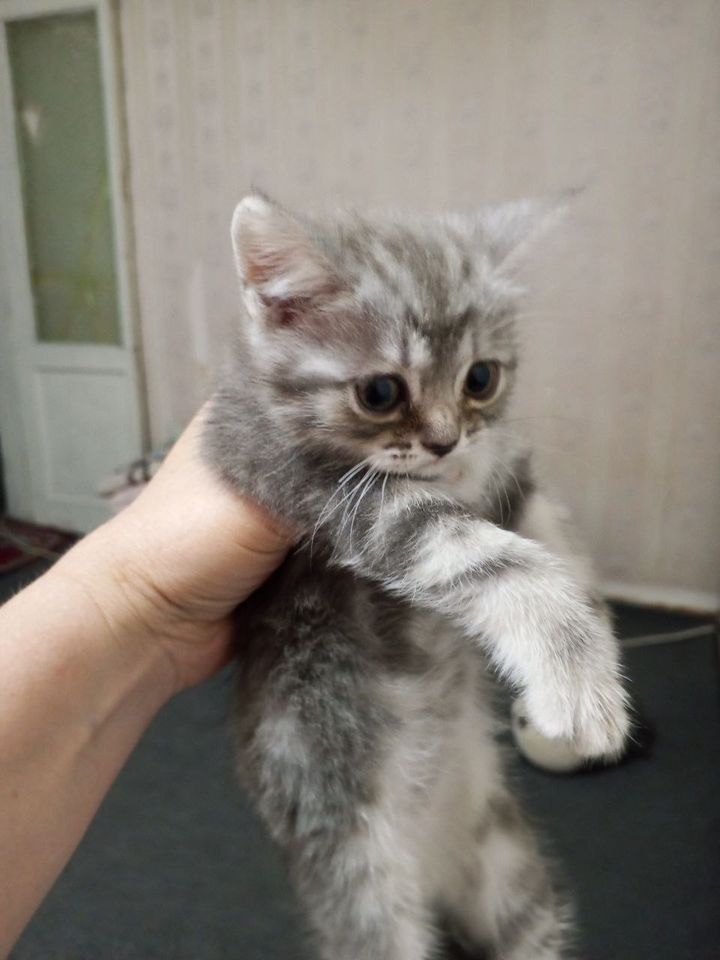 500 000 сум