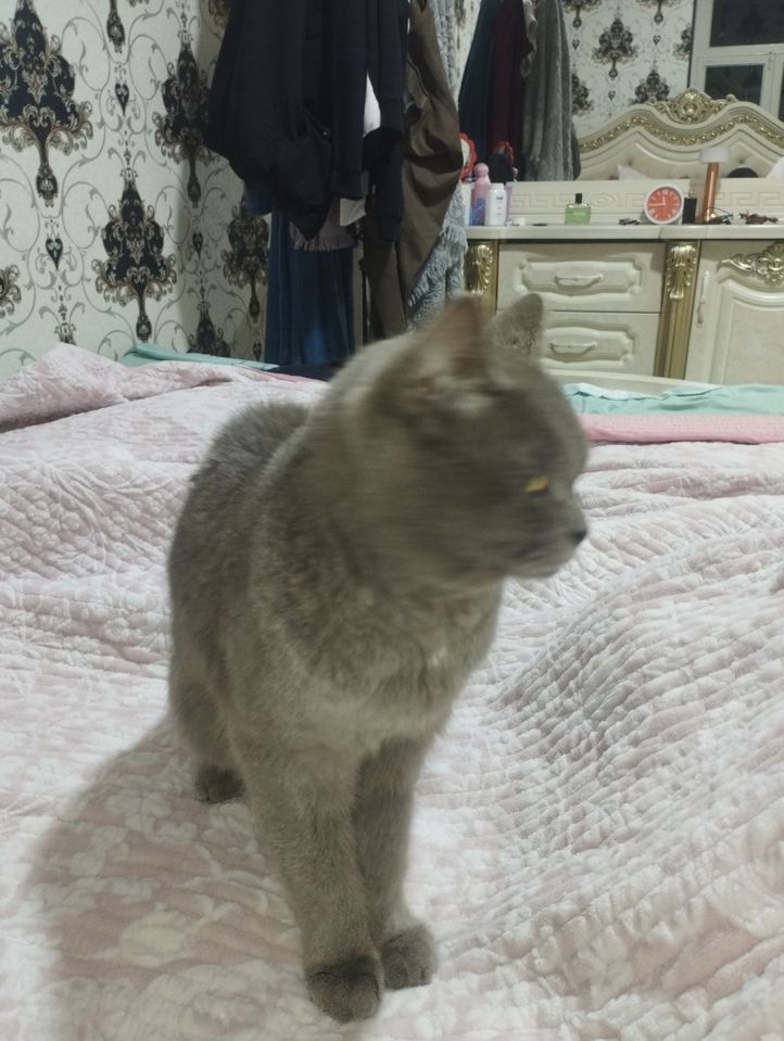 1 000 000 сум