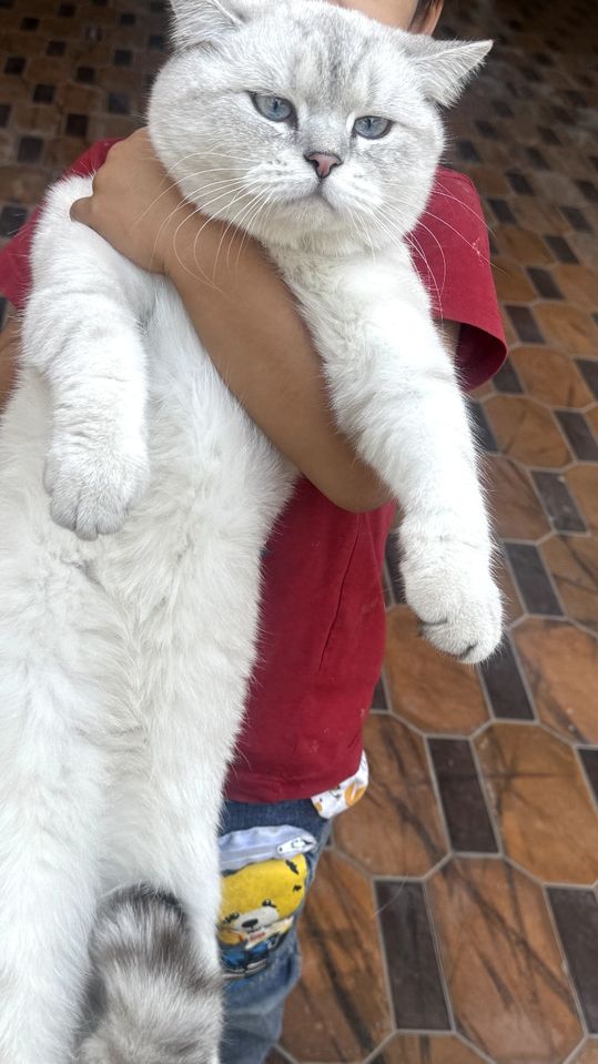 1 200 000 сум