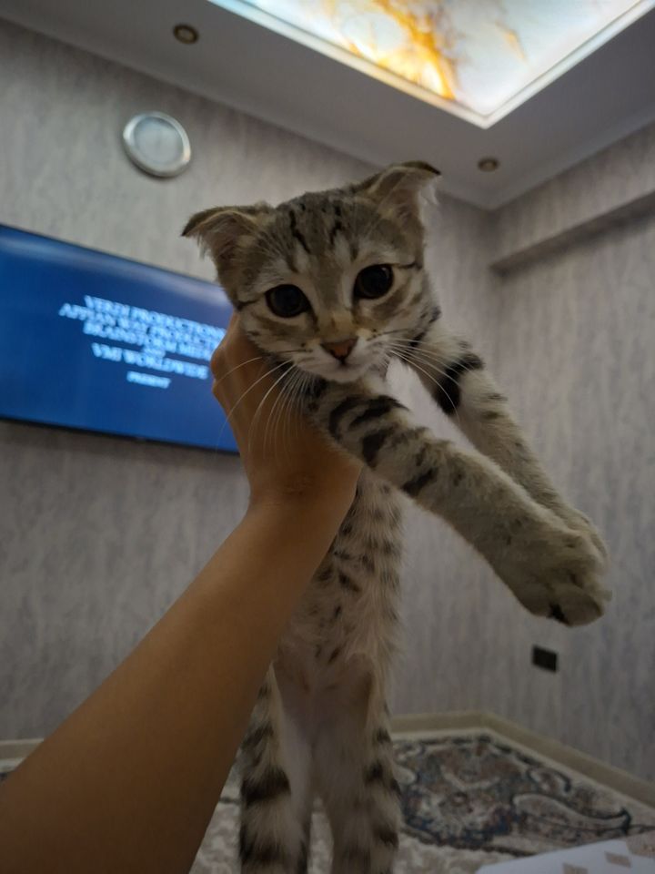 150 USD