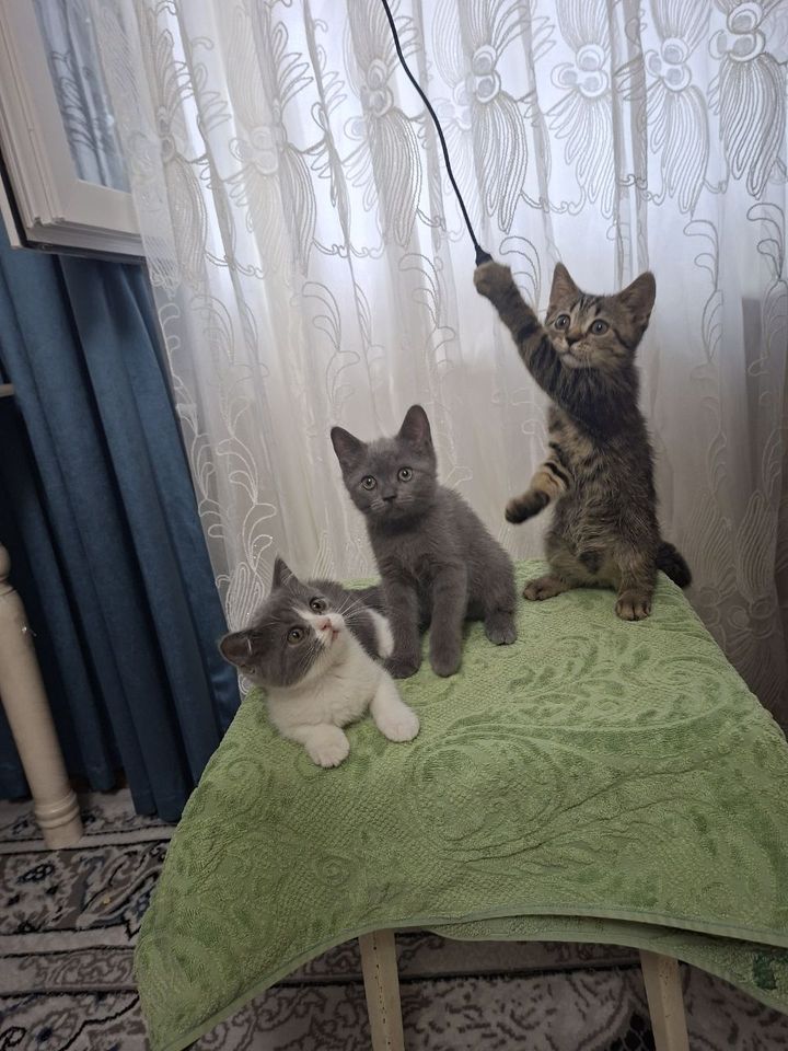 1 000 000 сум