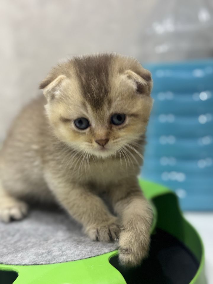 1 000 000 сум
