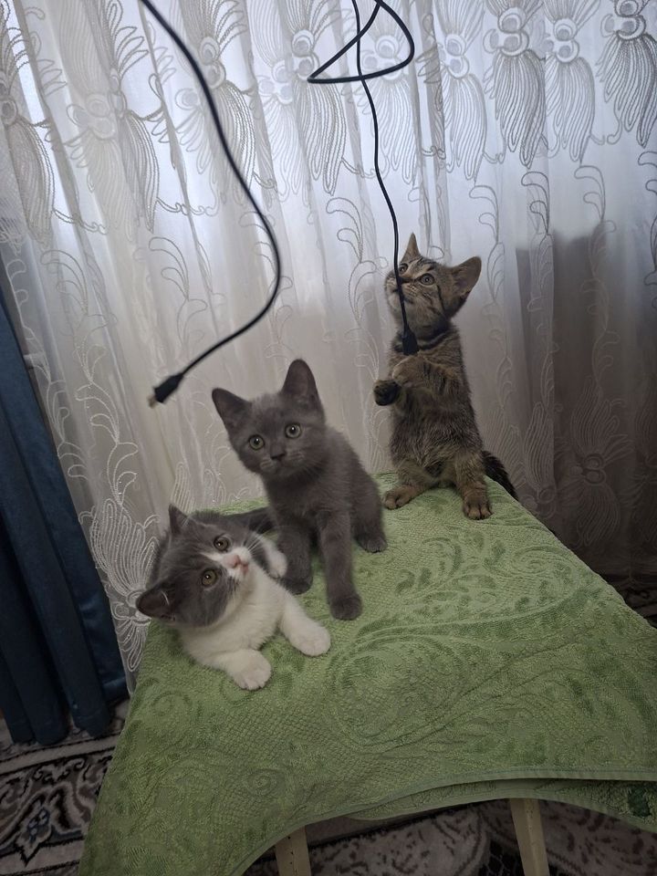 1 000 000 сум
