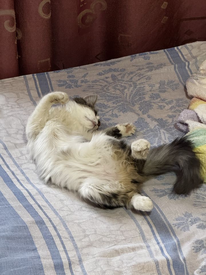 5 000 сум
