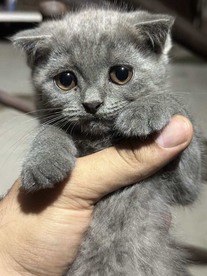 800 000 сум