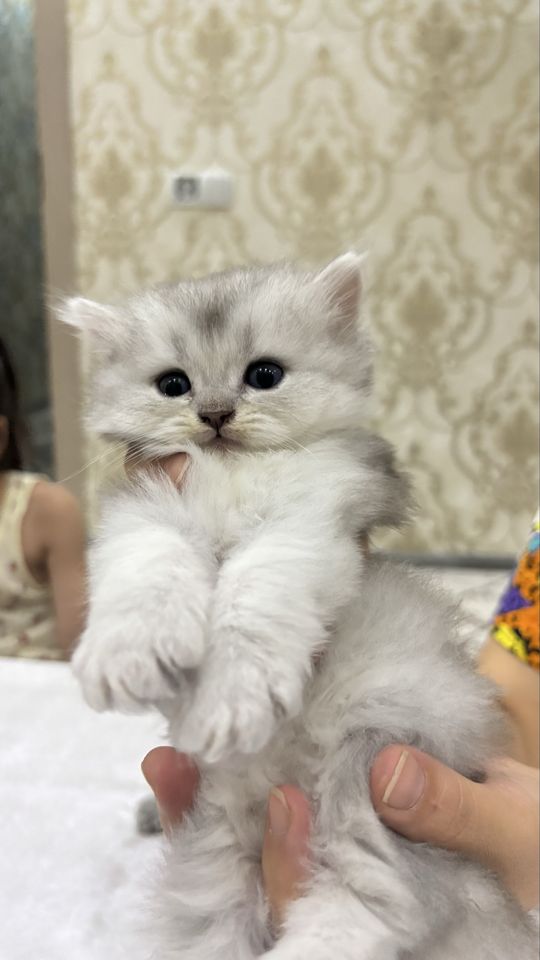 1 800 000 сум