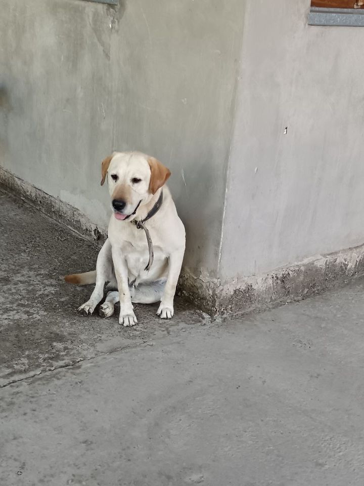 Бесплатно