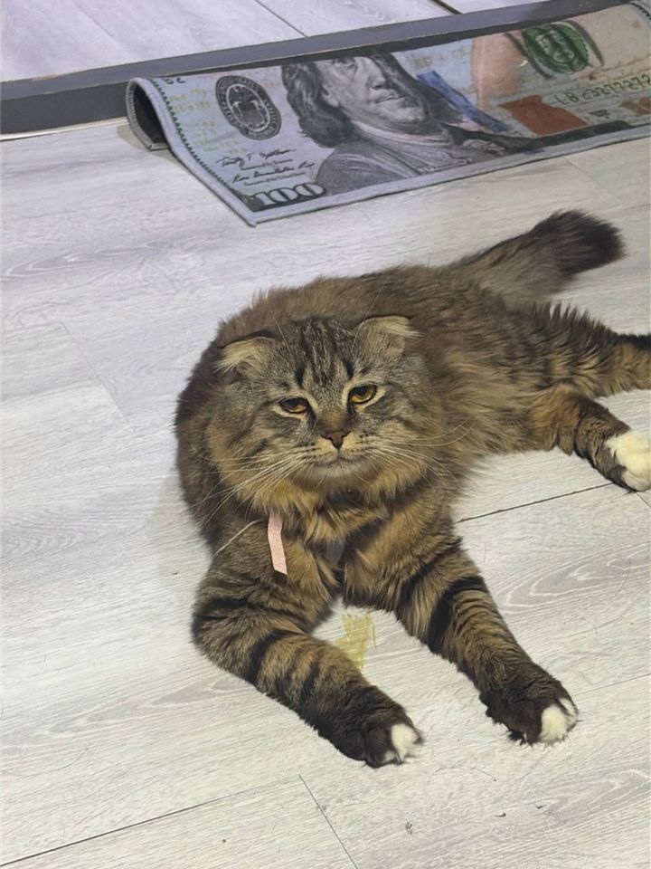 50 USD