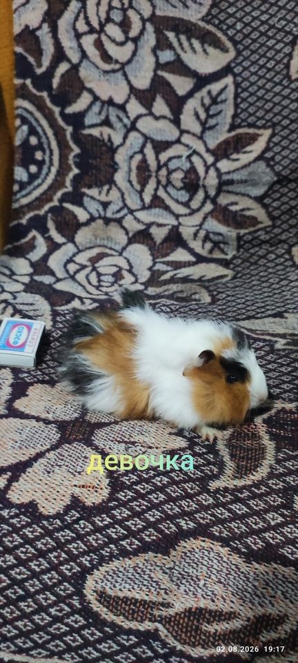 150 000 сум