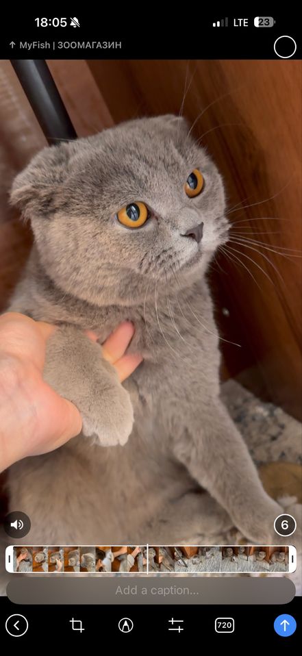 1 000 000 сум