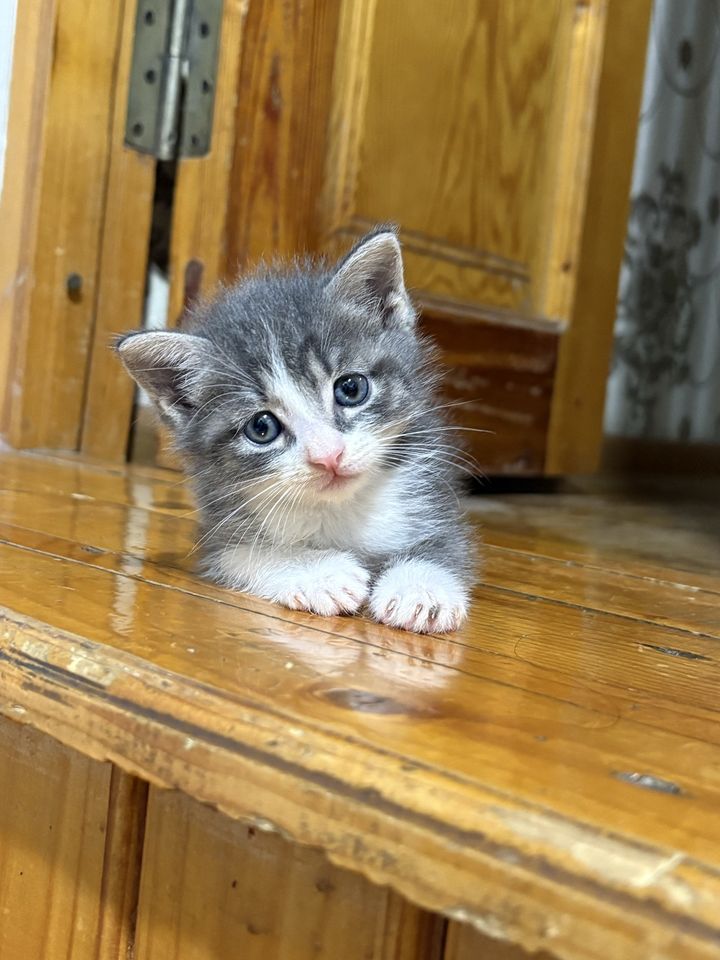 700 000 сум